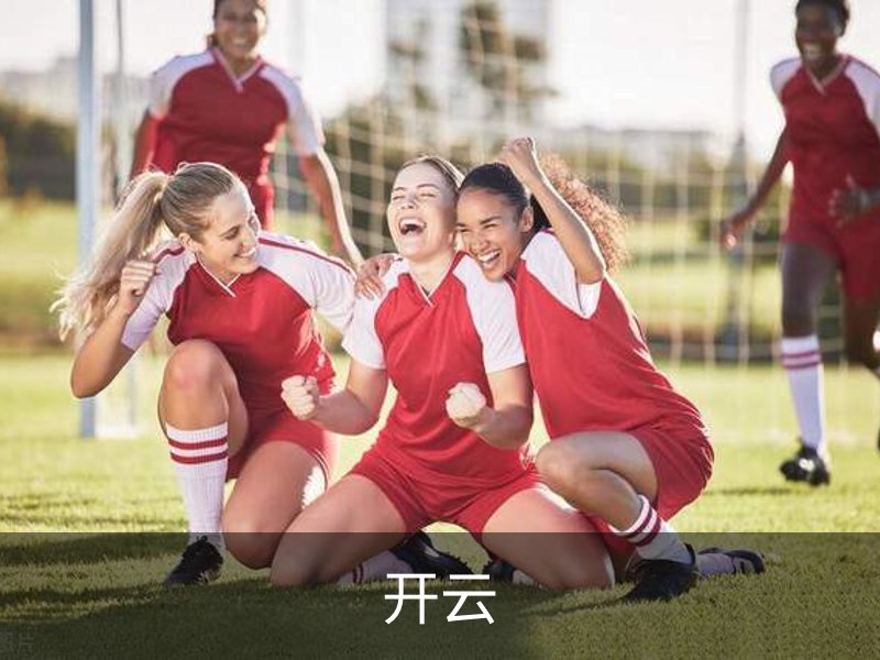 开云简介